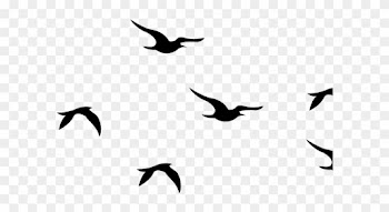 Blackbird Clipart Flying Dove - Silhouette Flying Birds