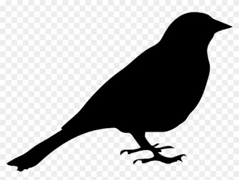 Blackbird Clipart Transparent - Silhouette Of Pigeon