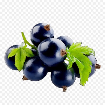 Blackcurrant Bilberry Blueberry Food STXEA NR EUR -  