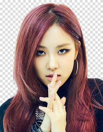 BLACKPINK PRE DEBUT, Blackpink Rose transparent background PNG clipart