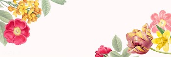 Blank floral banner copy space | Free stock vector - 564293