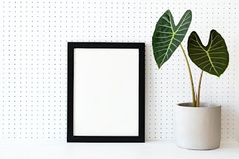 Blank frame on plant shelf home decor ideas | Free stock photo | High Resolution image