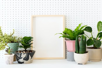 Blank frame on plant shelf home decor ideas | Free stock photo | High Resolution image