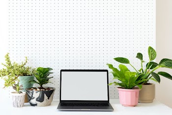 Blank laptop screen on a green workstation | Free stock photo | High Resolution image