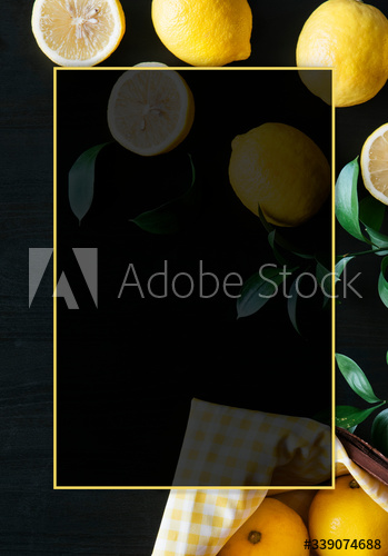 Blank lemon patterned frame