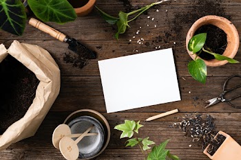 Blank paper in houseplant gardening… | Free stock photo | High Resolution image