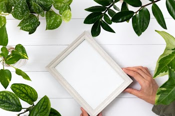 Blank picture frame with in plant background | Free stock photo | High Resolution image