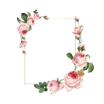 Blank rectangle pink roses frame on white background Free Vector