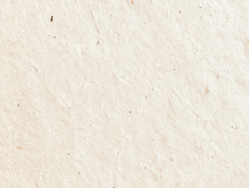 Blank Recycled Paper Texture