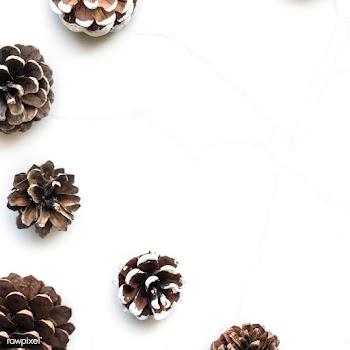 Blank space with pine cones mockup | Free stock psd mockup - 516240