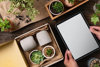 Blank tablet and houseplant delivery from an… | Free stock photo | High Resolution image