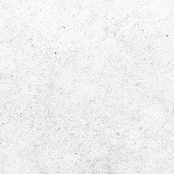 Blank white wood texture | Free  photo - 2252635