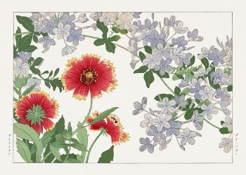 Blanket flower & plumbago woodblock | Free Photo Illustration - rawpixel