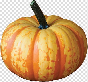 Blaze Pumpkin Isolated transparent background PNG clipart