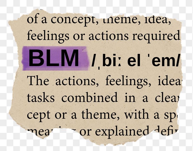 BLM png word sticker, torn | Free PNG - rawpixel