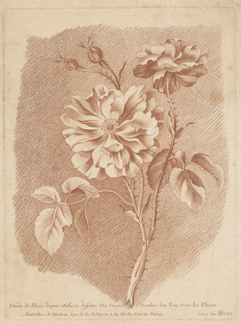 Bloemen (ca. 1755&ndash;1776) by Gilles | Free Photo - rawpixel