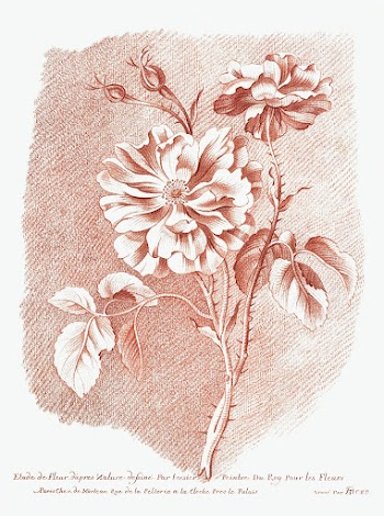 Bloemen (ca. 1755&ndash;1776) in high resolution by Gilles Demarteau. Original from The Rijksmuseum. Digitally enhanced by rawpixel.