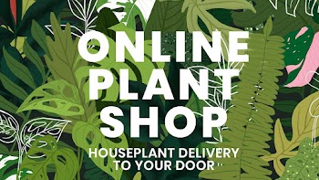 Blog banner template psd botanical background… | Free stock illustration | High Resolution graphic
