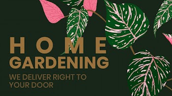 Blog banner template psd botanical background… | Free stock illustration | High Resolution graphic