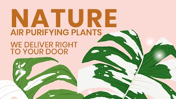 Blog banner template psd botanical background… | Free stock illustration | High Resolution graphic