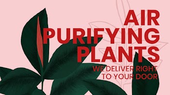 Blog banner template psd botanical background… | Free stock illustration | High Resolution graphic