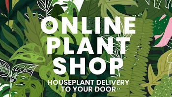 Blog banner template vector botanical… | Free stock illustration | High Resolution graphic