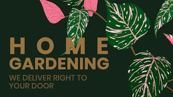 Blog banner template vector botanical… | Free stock illustration | High Resolution graphic