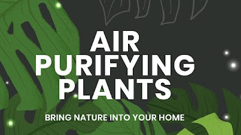 Blog banner template vector botanical… | Free stock illustration | High Resolution graphic
