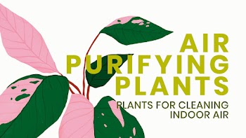 Blog banner template vector botanical… | Free stock illustration | High Resolution graphic