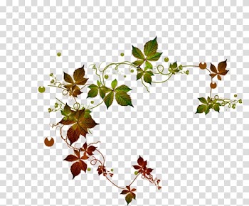 Blog Home page , others transparent background PNG clipart