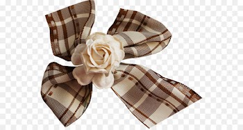 Blog Ribbon Gadidae NetEase Logfile -  