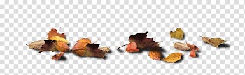 Blog Text Collage , others transparent background PNG clipart