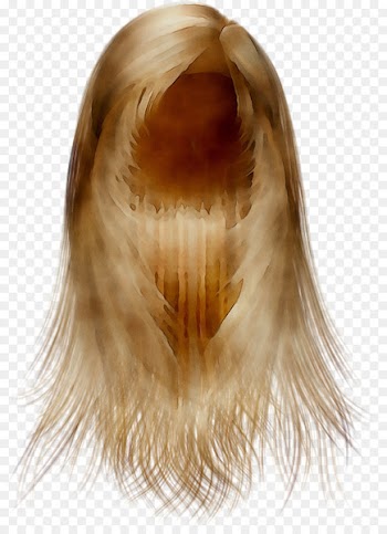 Blond Wig Fur Long hair -  