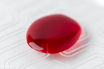 Blood drop on a test plate | Free  photo - 2290202