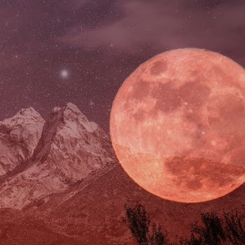 Blood moon background, dark fantasy | Free Photo - rawpixel