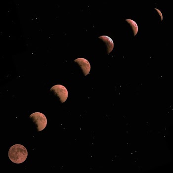 blood moon illustration