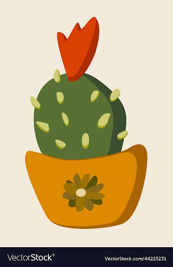 blooming cactus in a pot