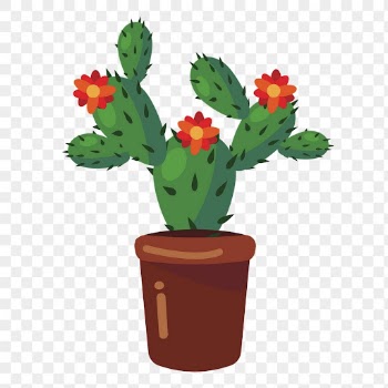 Blooming cactus png sticker illustration, | Free PNG - rawpixel