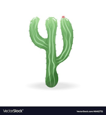 blooming cactus with spines