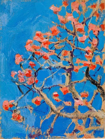 Blooming coral tree in blossom, | Free Photo - rawpixel