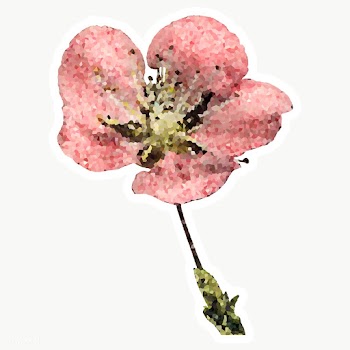 Blooming flower crystallized style sticker overlay | Free  transparent png - 2347493