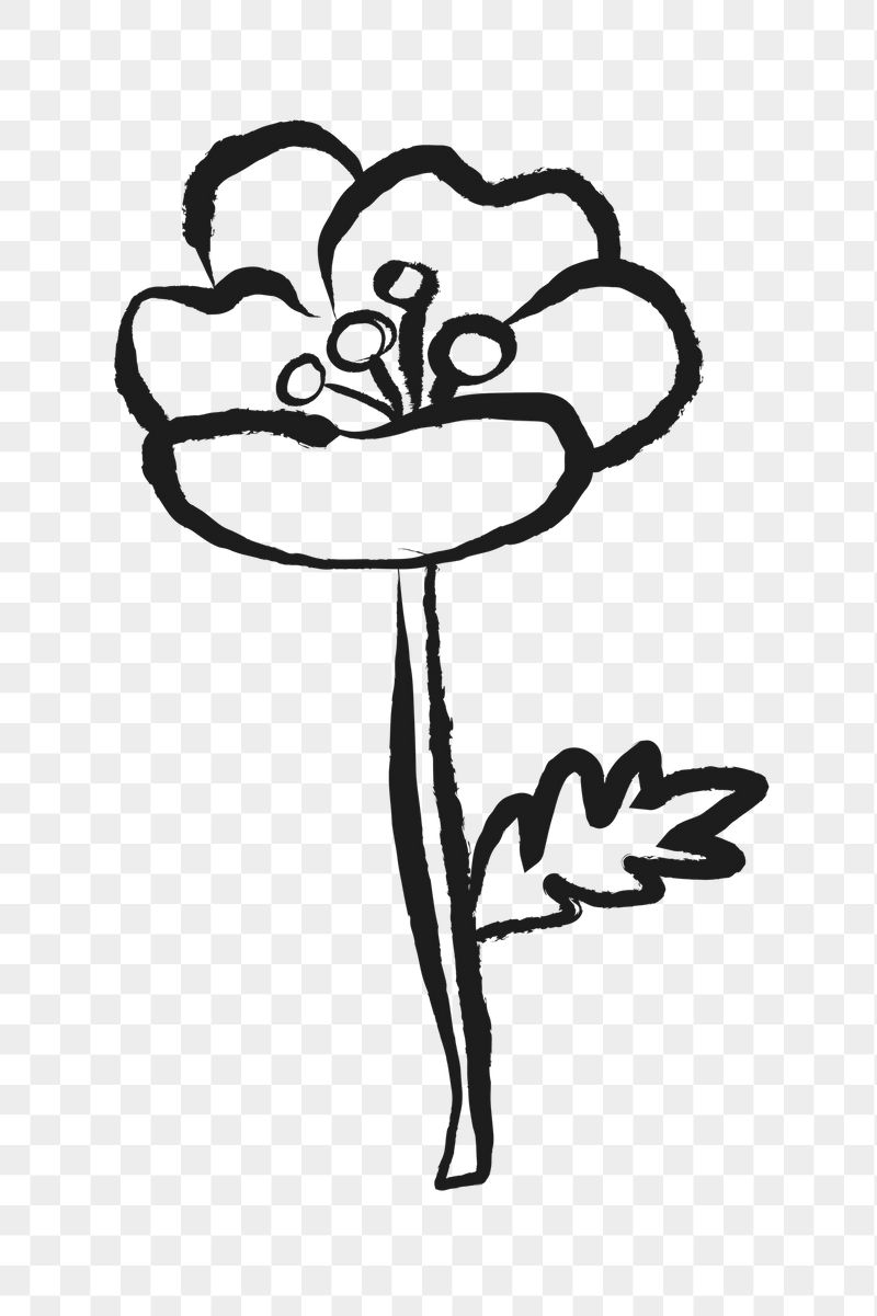 Blooming flower png sticker, doodle, | Free PNG Illustration - rawpixel