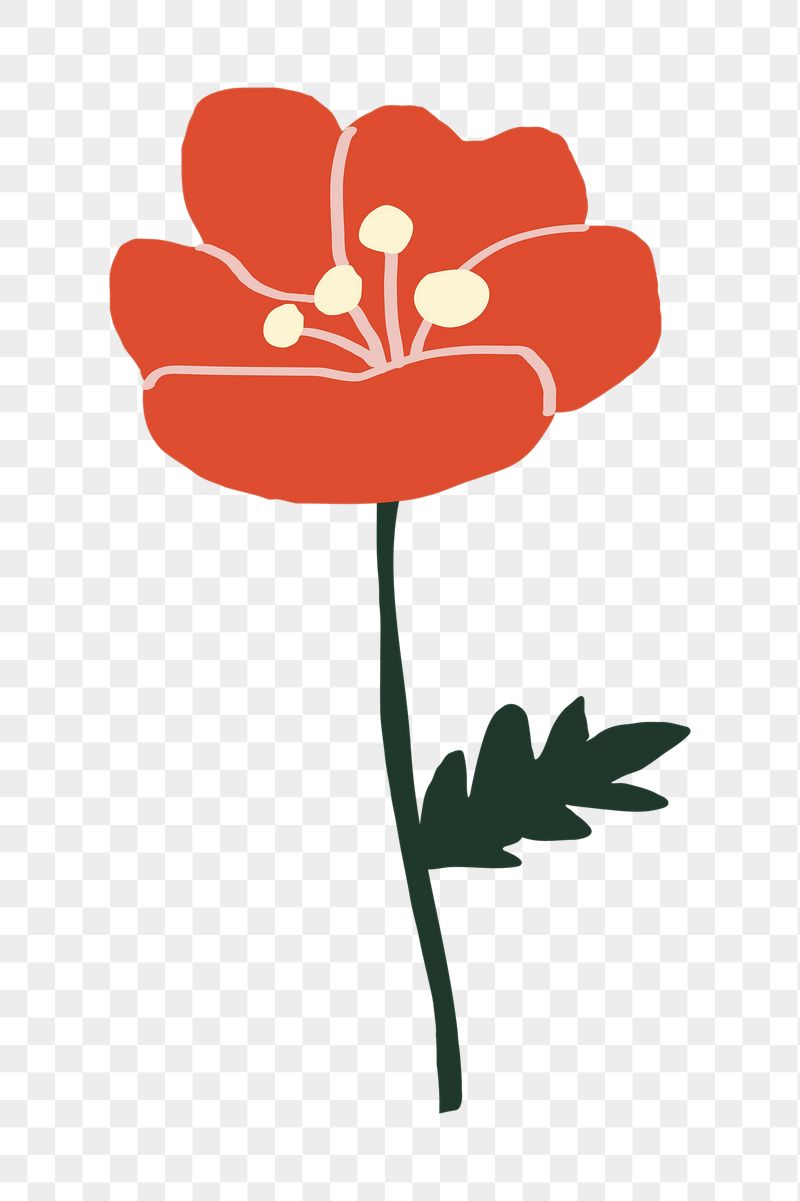 Blooming flower png sticker,  | Free PNG Illustration - rawpixel
