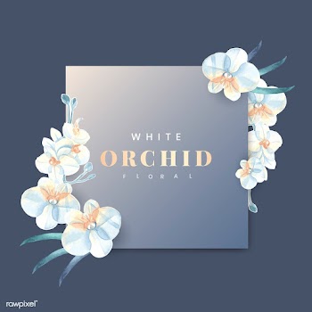 Blooming flower square frame | Free stock vector - 937027