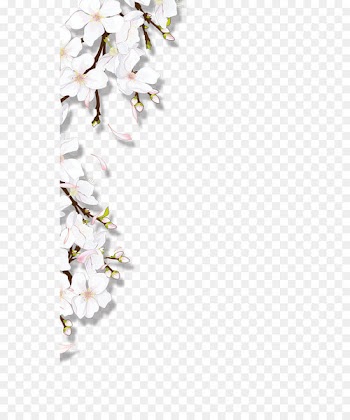 Blooming flowers 