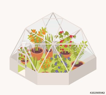 Blooming flowers and potted flowering plants growing inside glass dome greenhouse