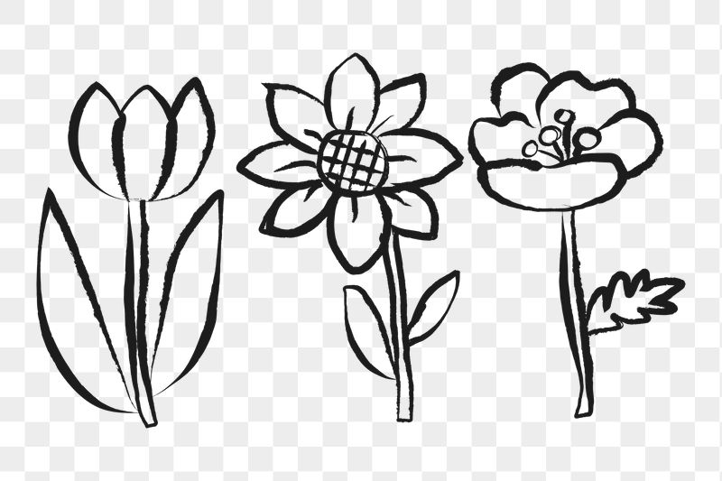 Blooming flowers png sticker, Spring | Free PNG Illustration - rawpixel