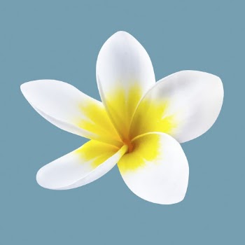 Blooming frangipani, flower clipart psd | Free PSD - rawpixel