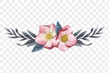 Blooming hellbore png flower border, | Free PNG - rawpixel