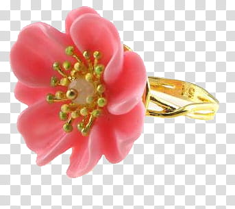 Blooming pink flower stone gold ring transparent background PNG clipart